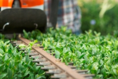 landschaftsbau-hofmann-gartenpflege-slider06