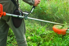 landschaftsbau-hofmann-gartenpflege-slider07