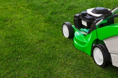 landschaftsbau-hofmann-gartenpflege-slider10