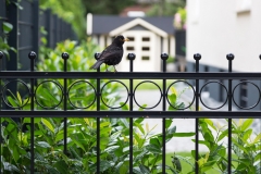 landschaftsbau-hofmann-gartenzaeune-slider03