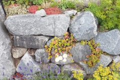 landschaftsbau-hofmann-mauerarbeiten-slider01