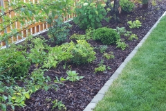 landschaftsbau-hofmann-pflanzungen-slider03