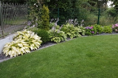 landschaftsbau-hofmann-pflanzungen-slider04