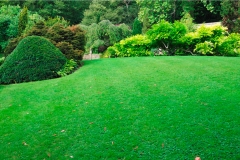 landschaftsbau-hofmann-pflanzungen-slider07