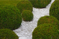 landschaftsbau-hofmann-pflanzungen-slider08