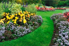 landschaftsbau-hofmann-pflanzungen-slider09