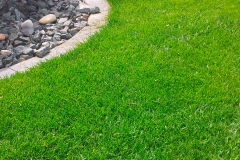 landschaftsbau-hofmann-rasen-slider02