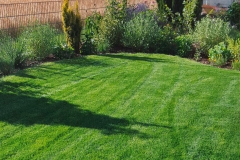 landschaftsbau-hofmann-rasen-slider03