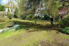 landschaftsbau-hofmann-rasen-slider04