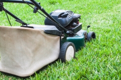 landschaftsbau-hofmann-rasen-slider07