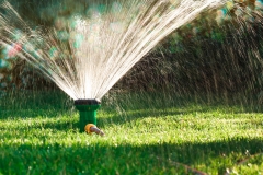 landschaftsbau-hofmann-rasen-slider08