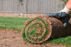 landschaftsbau-hofmann-rasen-slider09